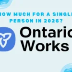 Ontario Works Payment for Single canadacalculaor.ca